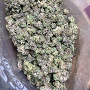 Pink Unicorn Smalls LSO